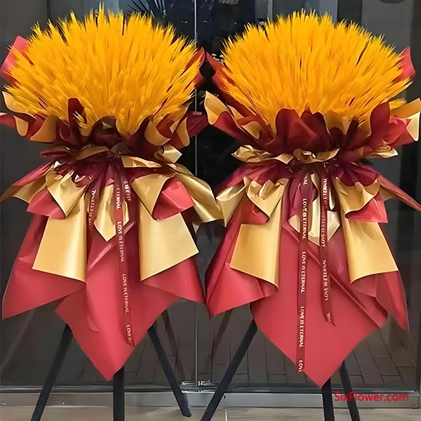高预算（500元以上）：讲究格调，绿植更显品味