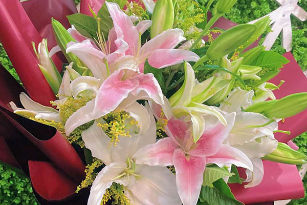 结婚新人送花 给结婚的一对新人送什么花比较好 六朵花