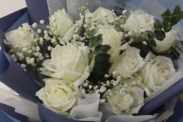 七夕节送白玫瑰几朵比较适合？