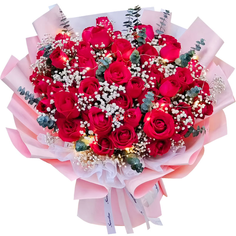 33朵红玫瑰灯带,始终爱你如初