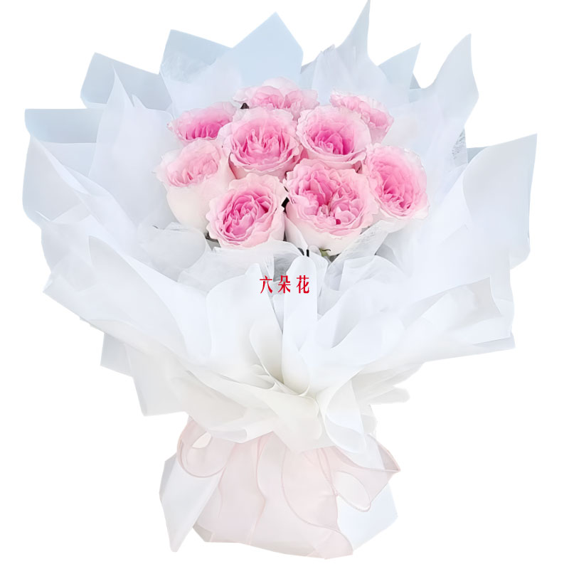 9朵洛神粉玫瑰,余生请你指教