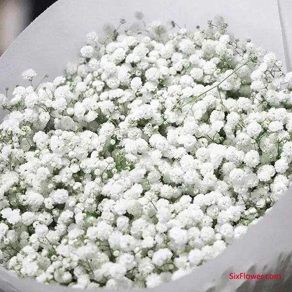 �ջ���ƫ��