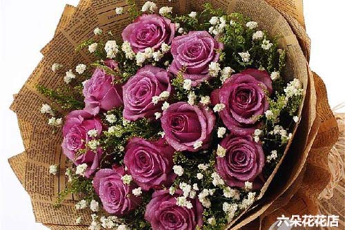 11朵紫玫瑰的花语是什么