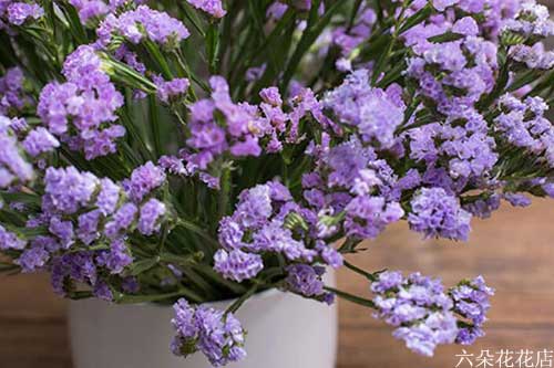 紫色勿忘我的花语是什么 六朵花