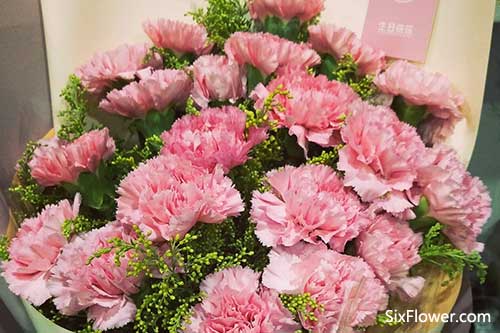 康乃馨混搭的花束，佳节将至，</p>表达自己对母亲的尊敬和敬爱之情。笑囗常开