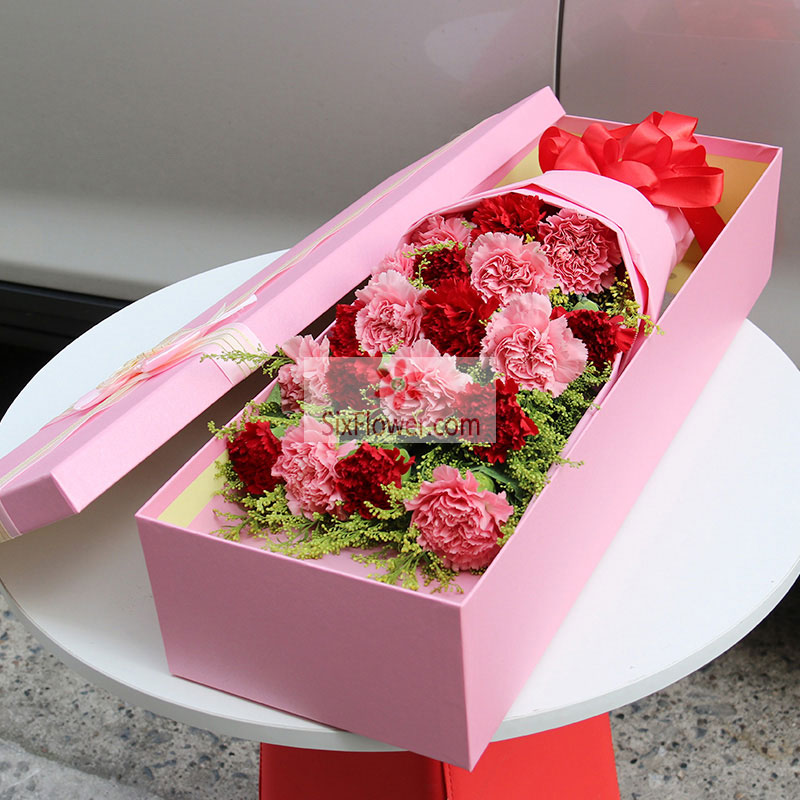 18朵康乃馨，礼盒装，妈妈的爱