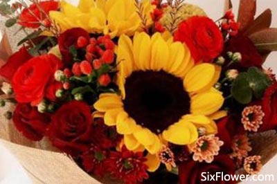 玫瑰花与向日葵搭配是什么意思 玫瑰花与向日葵一起适合送什么人 六朵花