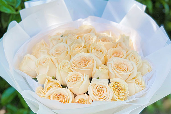 七夕节给女朋友送哪种颜色的玫瑰花比较好？