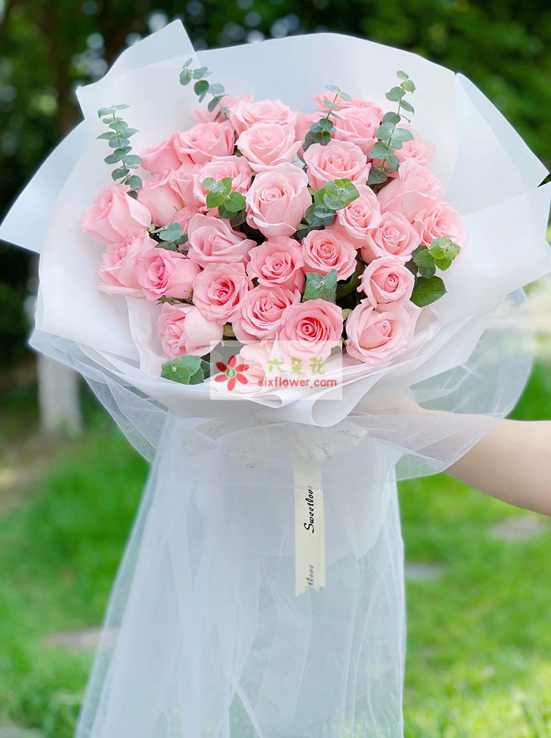 33朵戴安娜粉玫瑰，牵手一世的幸福