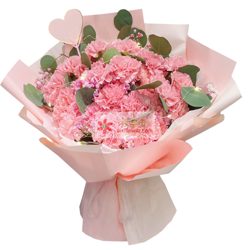 33朵粉色康乃馨，祝愿您一切安好