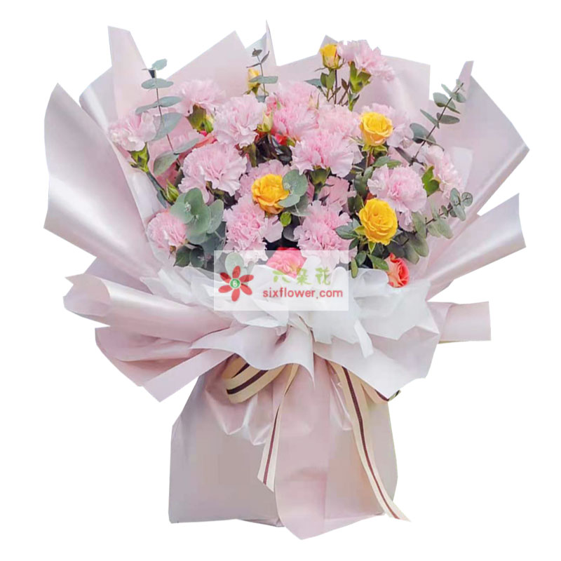 19朵粉色康乃馨玫瑰，温暖您的心