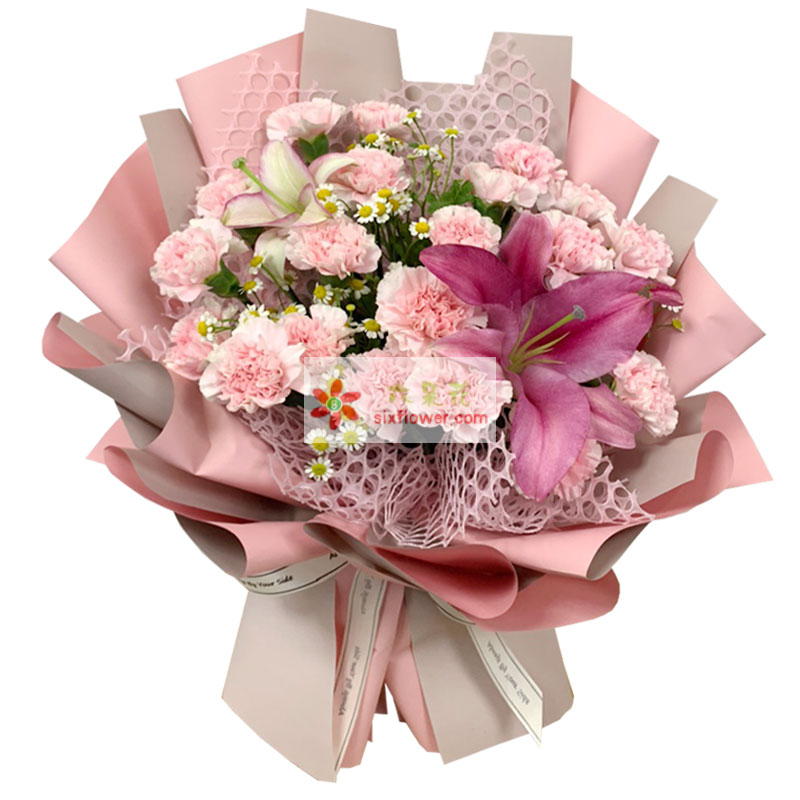 19朵粉色康乃馨百合，有你世间更美好