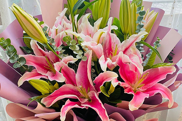 结婚送花是送哪种颜色的百合花好一些 六朵花