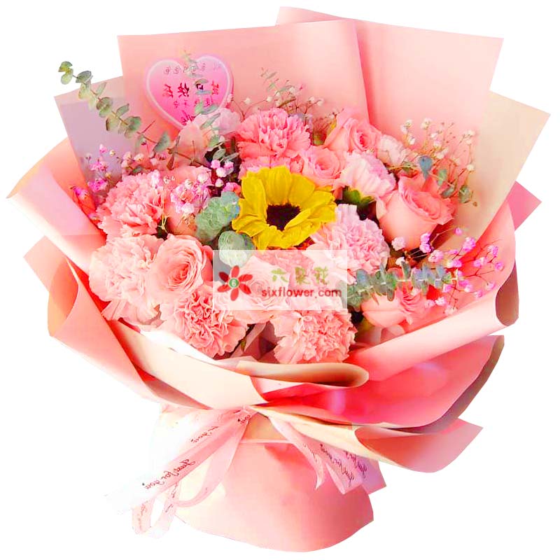 11朵粉色康乃馨玫瑰向日葵，美丽健康