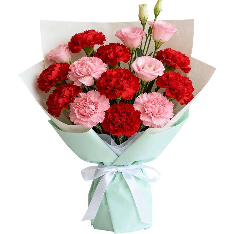 12朵康乃馨混搭,安康幸福常伴