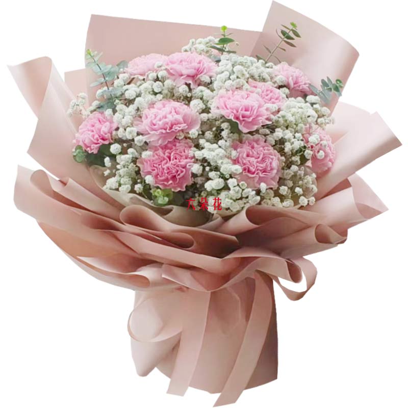 11朵粉色康乃馨满天星丰满,滋润我的心田