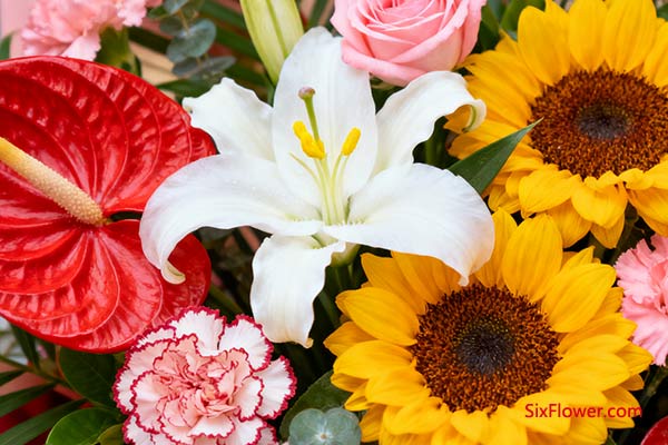 普通开业在花材选择上