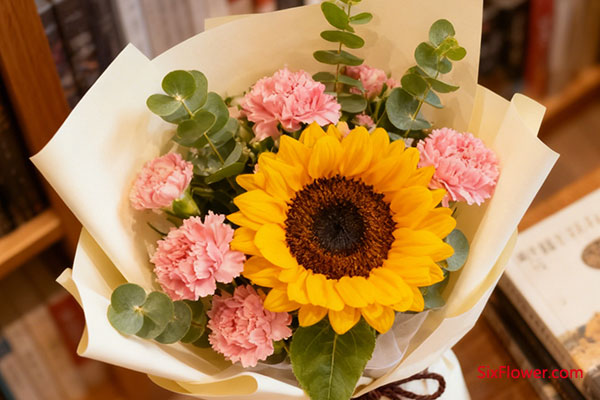 康乃馨或扶郎花:赋予成长以温度与力量