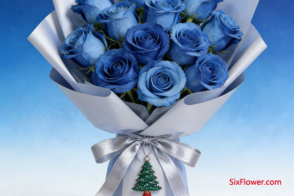 适合送蓝玫瑰的情形