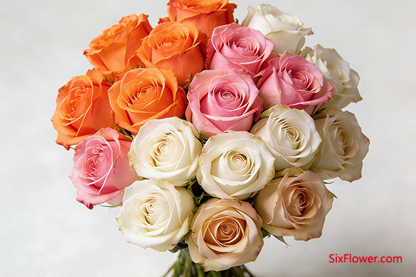 19��õ��&mdash;&mdash;ʥҹ��飬��ů����