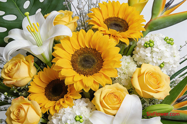 �͸����ѻ�ͬ��