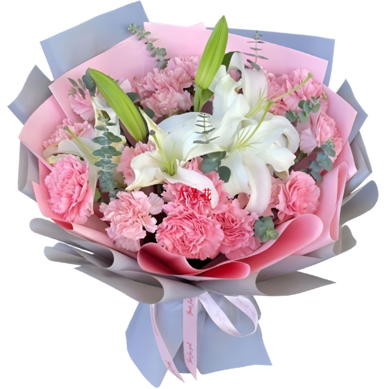 16���ɫ����ܰ2֧�ϣ��Ҹ���������