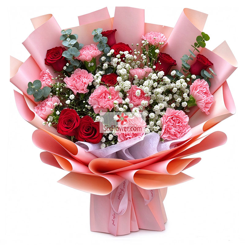 11���ɫ����ܰ8���õ�壬�Լ���С�Ҹ�