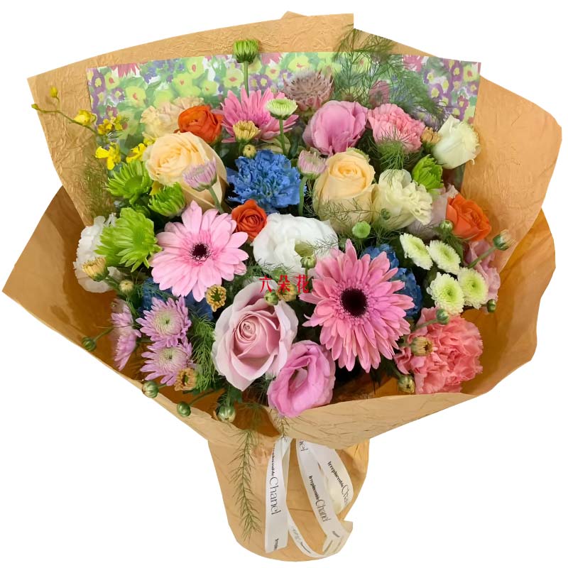 3朵玫瑰康乃馨扶郎花,绽放独有光芒