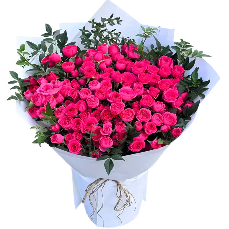 22支苏菲宝贝多头玫瑰,一起探索人生