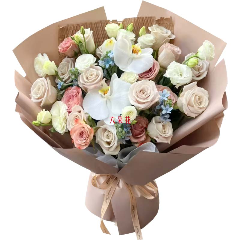 16��õ��2֧�����������ɵ���ȫ��