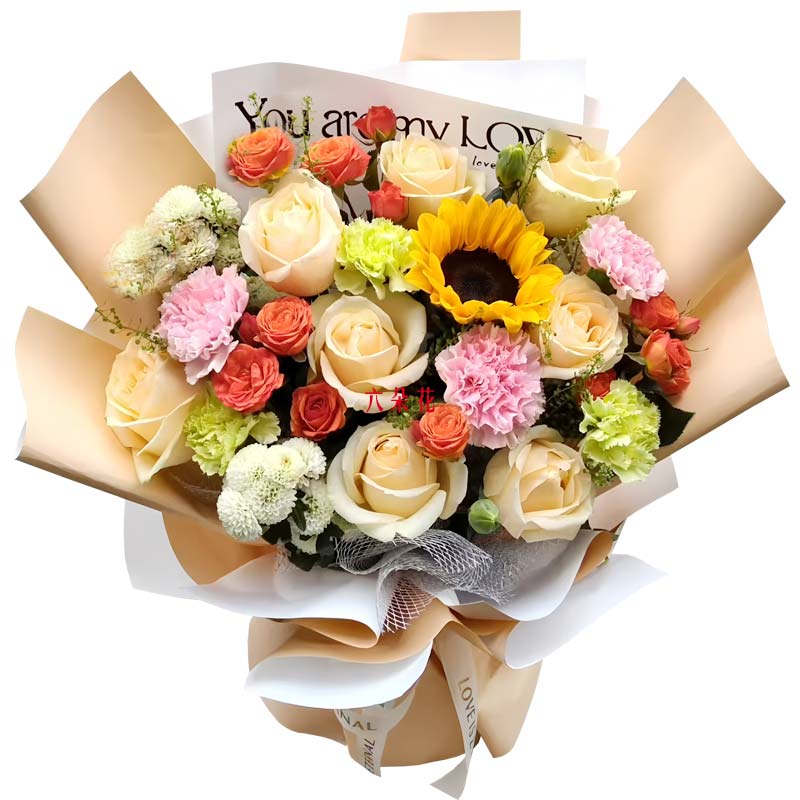 8������õ�念��ܰ���տ���Ѥ�����òʺ�