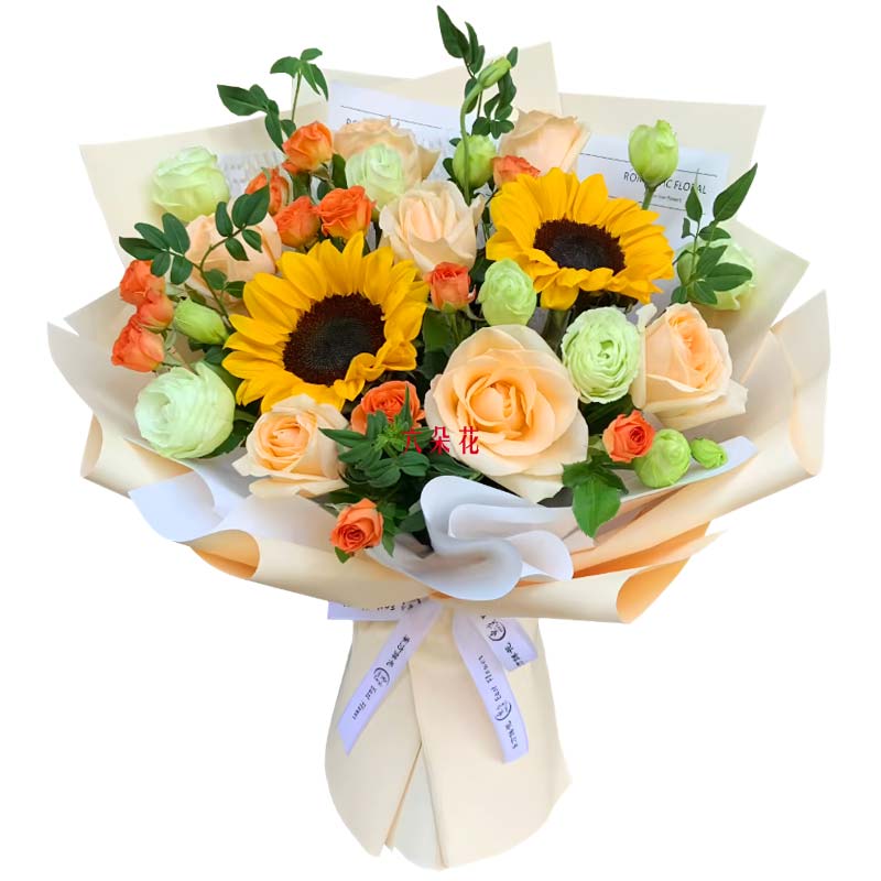 8������õ��2�����տ�������ϣ����â