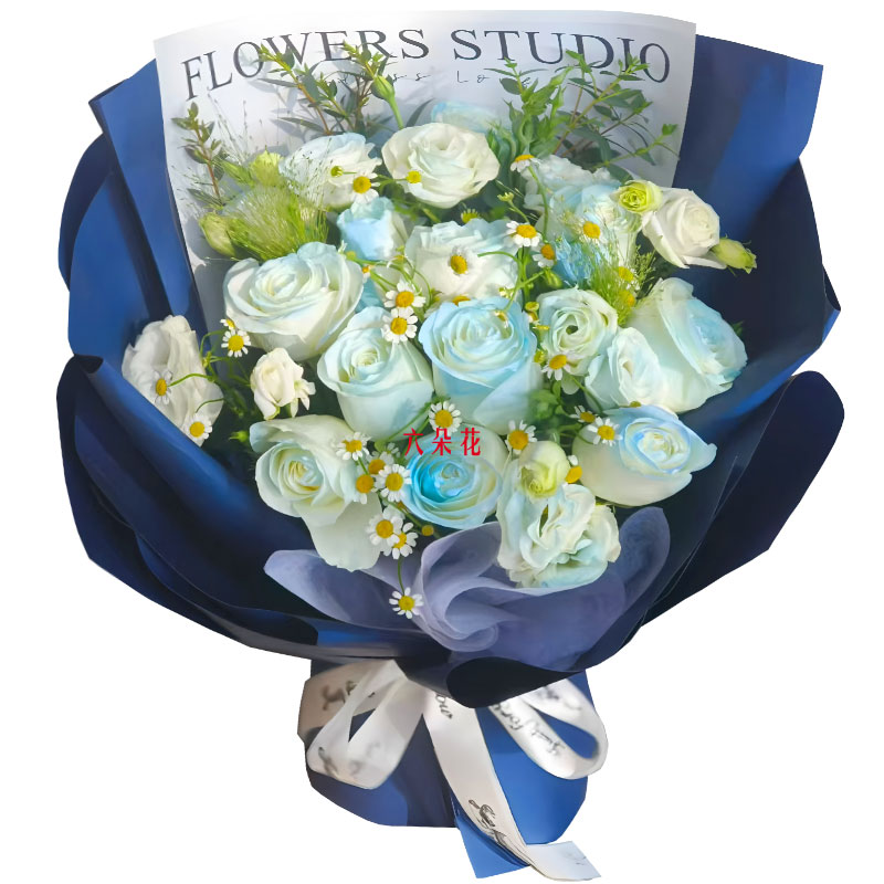 9���������õ��9��۹���Я���������