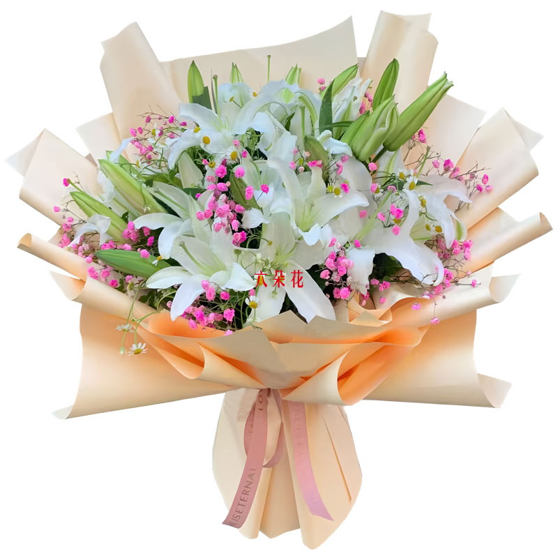 9֧��ɫ��ͷ�ٺϣ�ǡ������֦