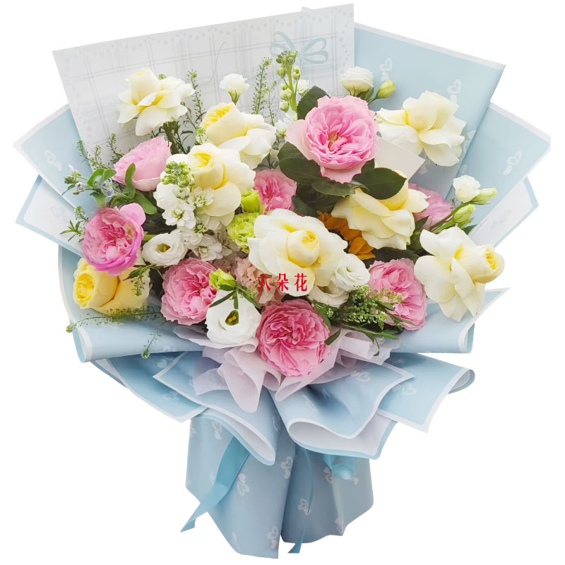 16��õ�廨���տ����Ҹ�������