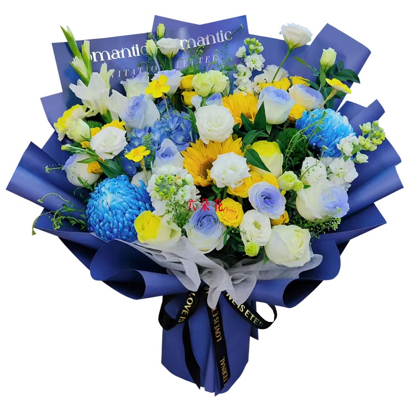 9���õ��2����ɫĵ���գ�������������