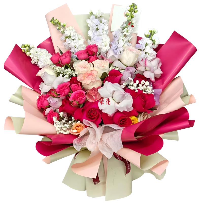 20朵玫瑰5支紫罗兰,我心之所向