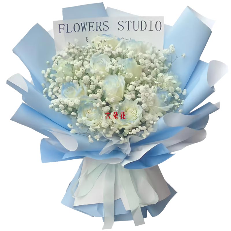 11朵碎冰蓝玫瑰满天星丰满,我的满心欢喜