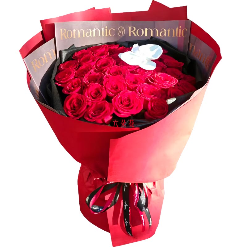 33���õ��1֧�������������������