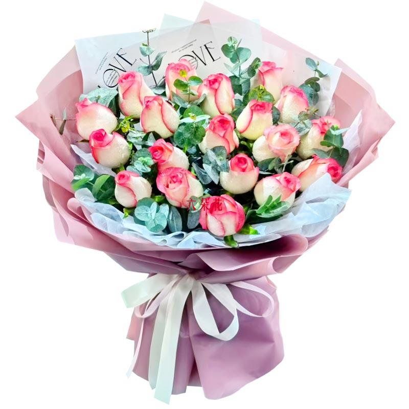 19�䰬ɯ��õ�壬�ҵ���������