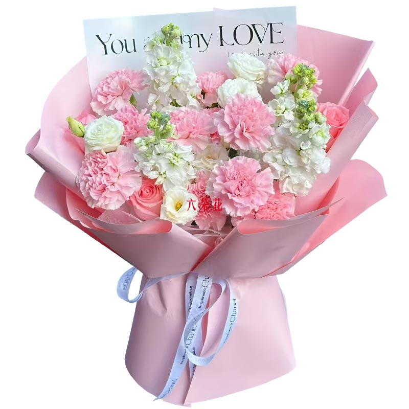 9���ɫ����ܰ3���õ���������������������