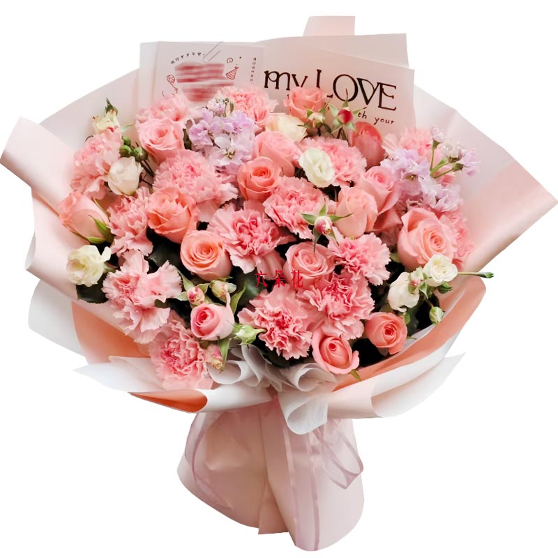 16���ɫ����ܰ12���õ�壬Ը����˲�ֹ