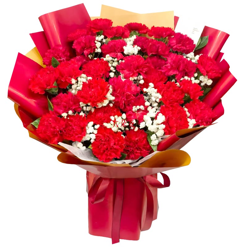 33���ɫ����ܰ�����곤����