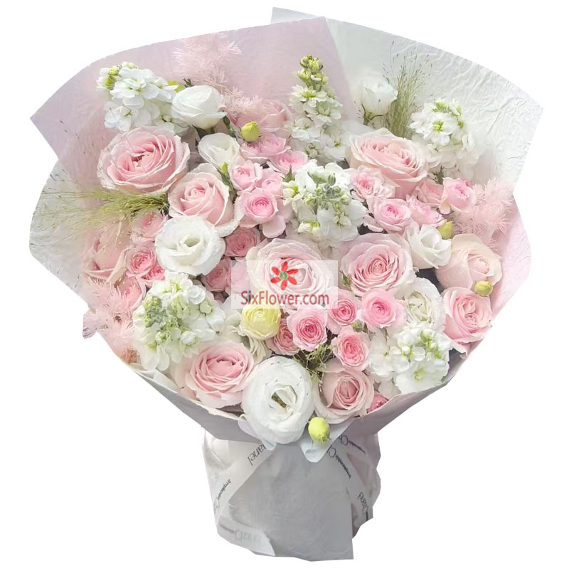 11������ȷ�õ��6֧���������మ�ļ��ֻ�