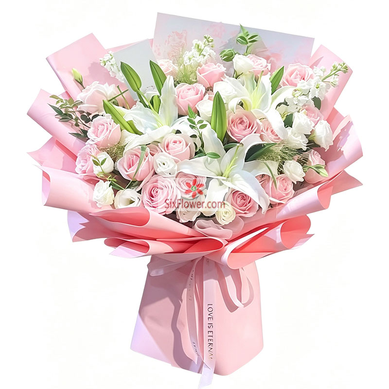 19���õ��2֧�ٺϣ��ʺ�����¶�