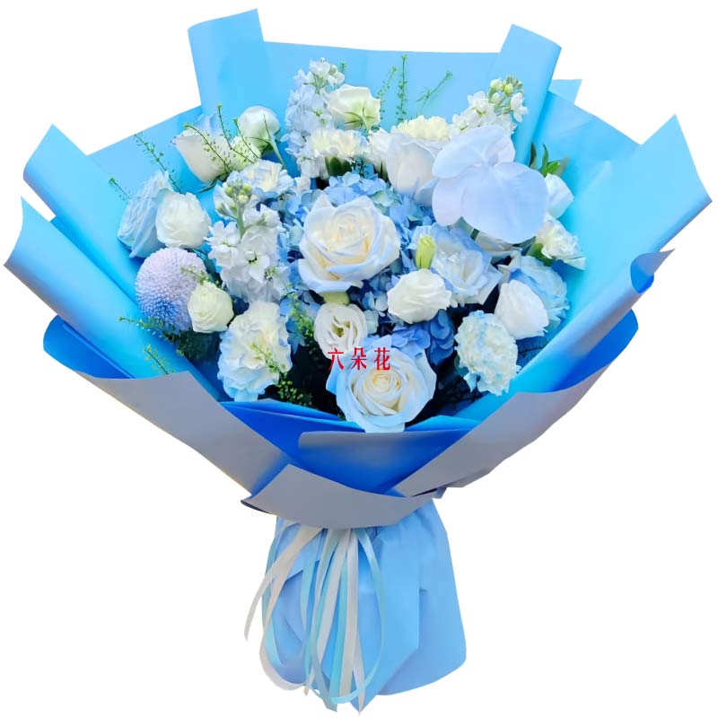 8朵白玫瑰碎冰蓝1支蝴蝶兰,爱绚丽的彩虹