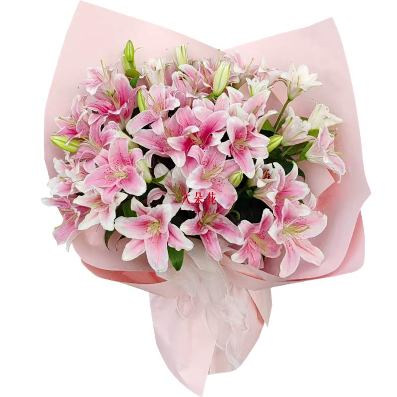 12支粉色多头百合,点亮我的心情