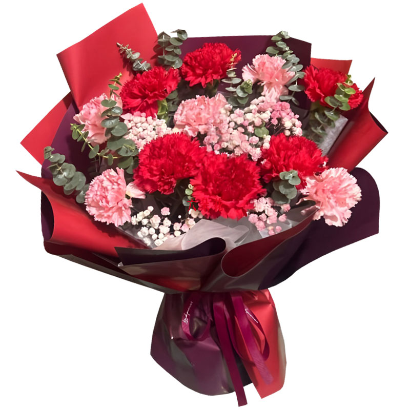 11�俵��ܰ��������������