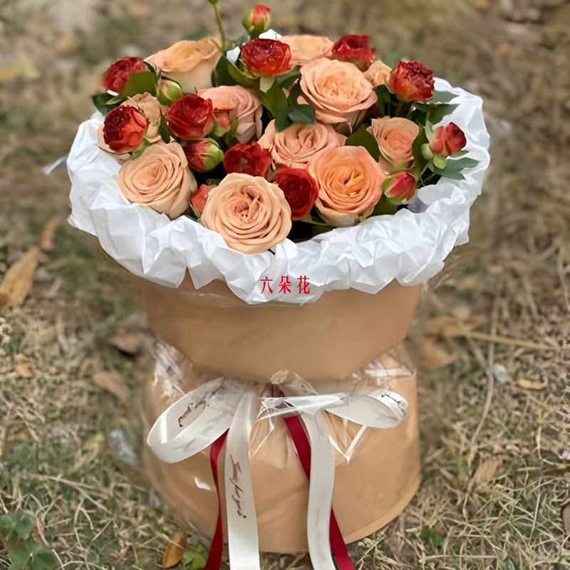 11俨ŵõ壬ֻ