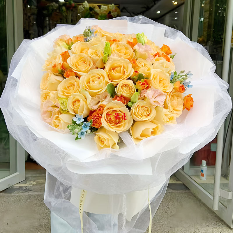 33������õ���ͷõ�壬�Ķ�ֻΪ����